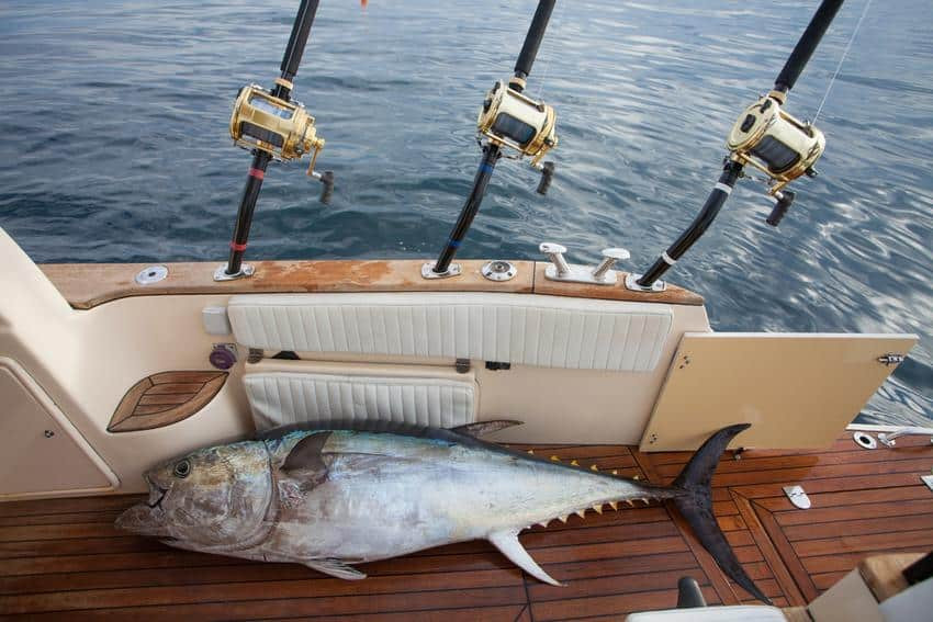 Everything You Need to Know About the 2024 Emerald Coast Blue Marlin Classic in Destin, Florida