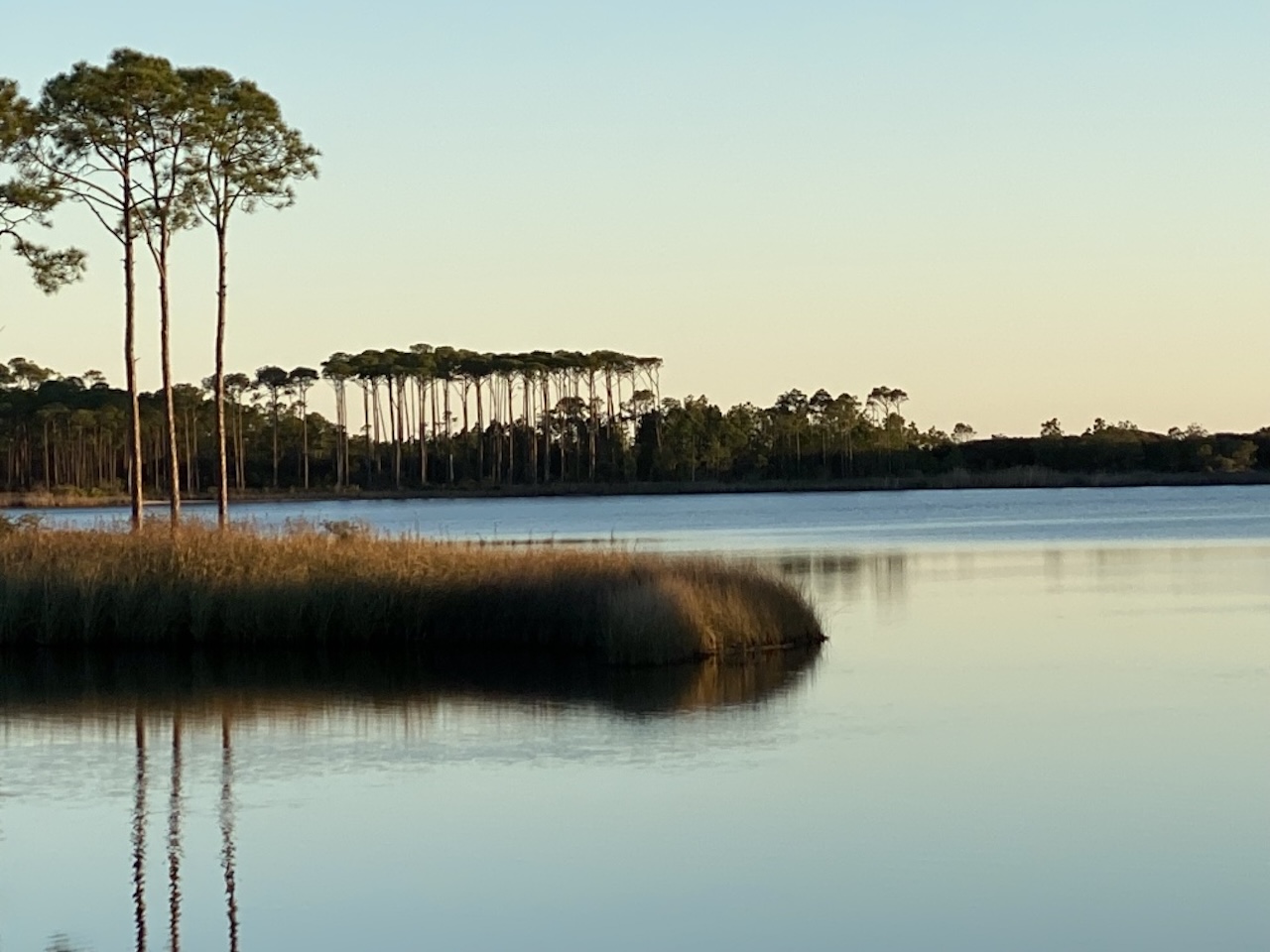 The Emerald Coast’s Best Eco-Tourism Adventures for Large Groups