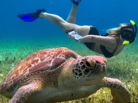 Dive Into Adventure: Best Emerald Coast Snorkeling for Large Groups