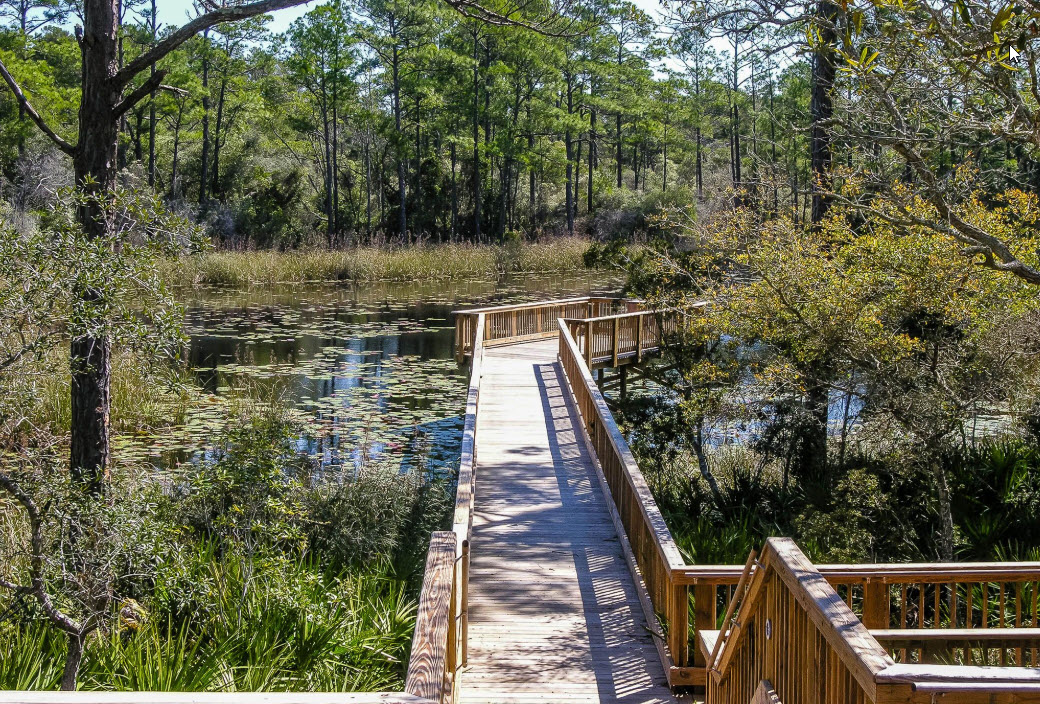 Beyond the Beach: Unique Emerald Coast Experiences for Large Groups