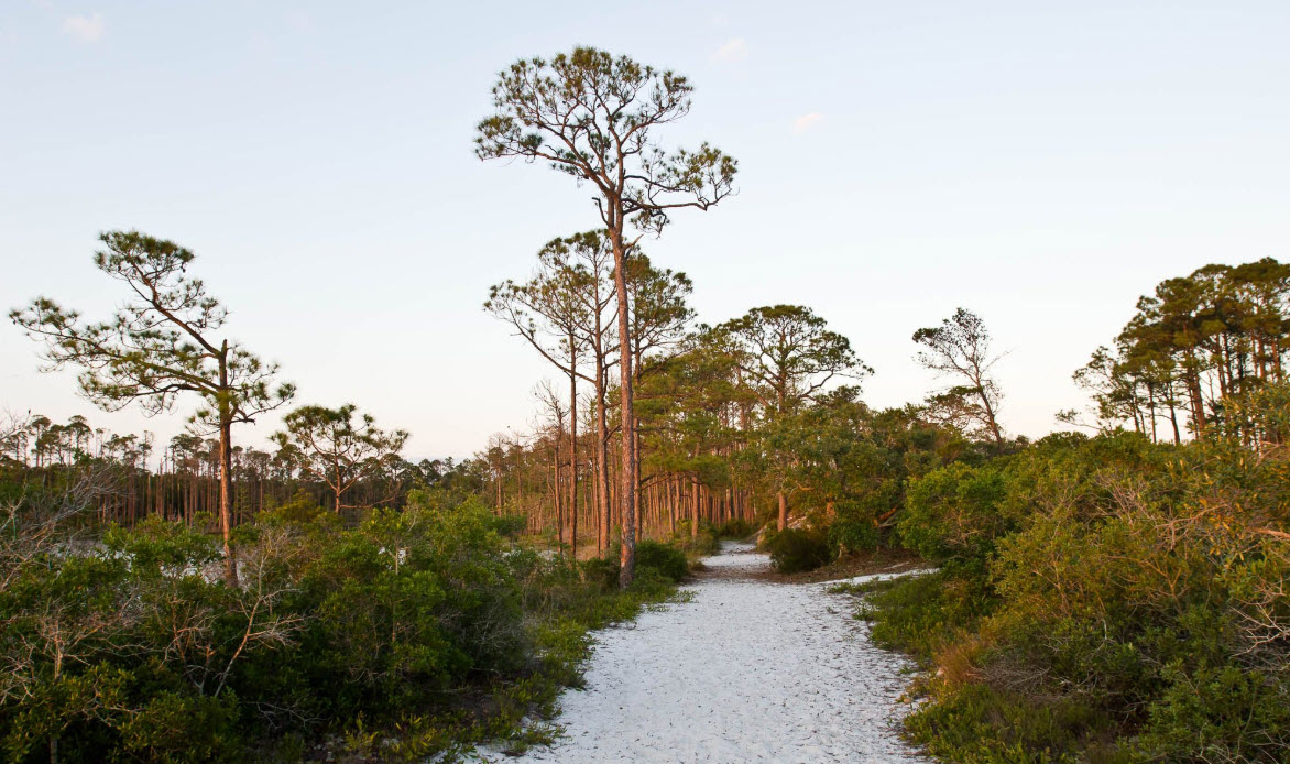 Sustainable Tourism on the Emerald Coast: Eco-Friendly Tips for Large Groups