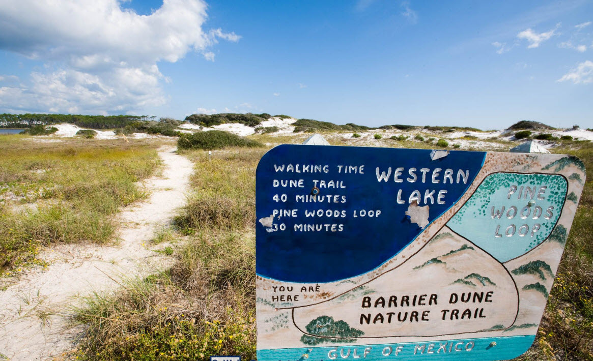 Hidden Gems on the Emerald Coast: Unique Group Experiences Beyond the Beach