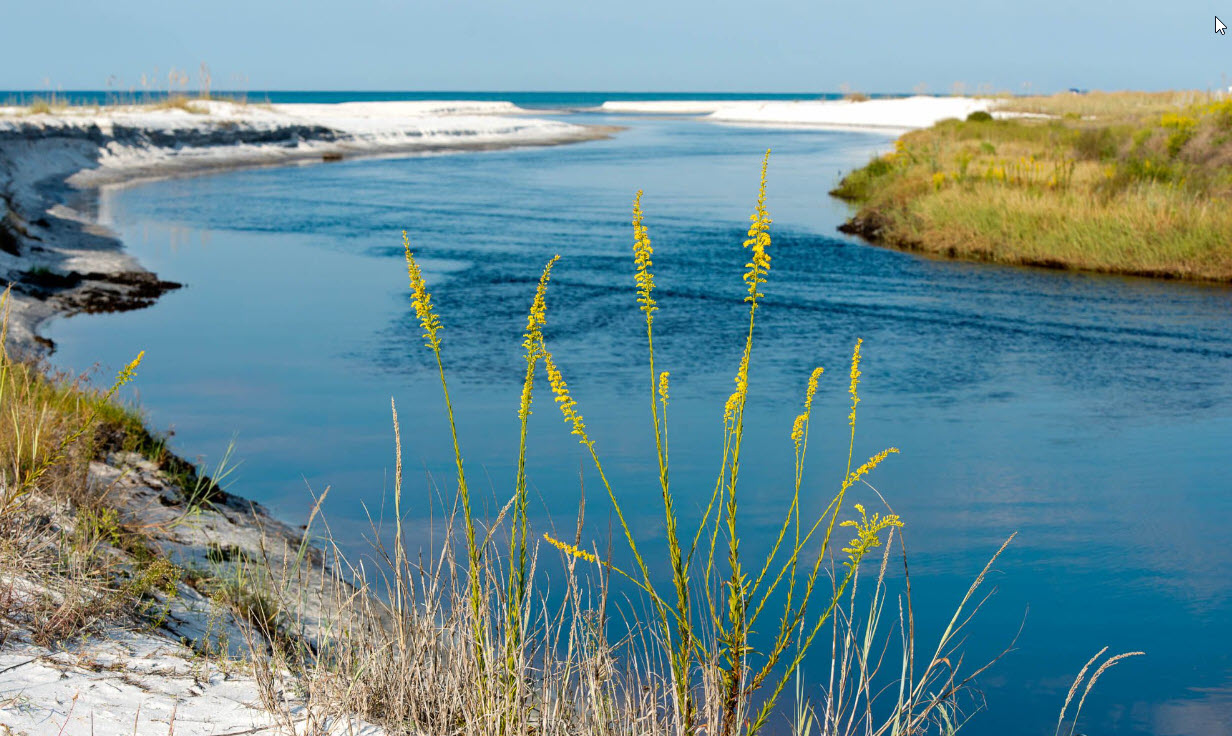 Emerald Coast Responsible Tourism: Practicing the Leave No Trace Principle for Large Groups